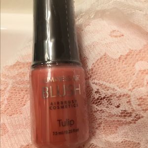 🎉Host Pick 🎉LUMINESS Silk Airbrush Blush🌷✨